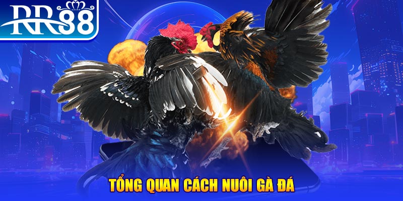 j88vip game nổ hũ rút tiền mặt là gì
