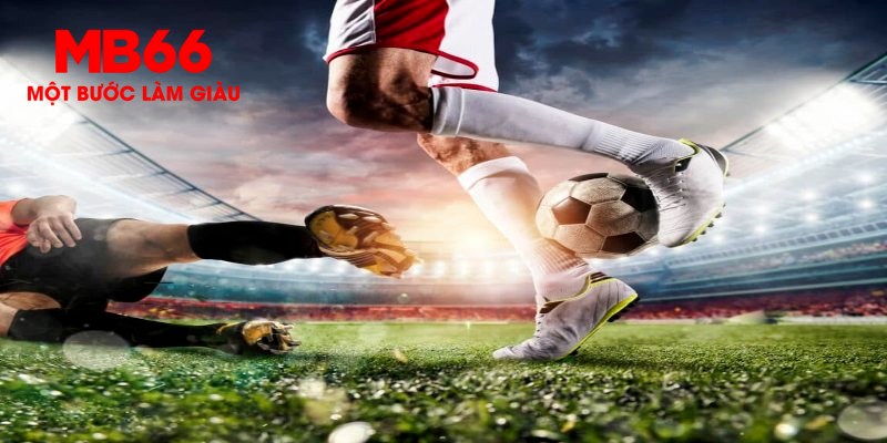 j88vip trực tiếp đá gà thomo
