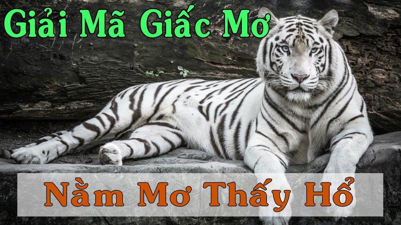j88vip nổ hũ là game gì