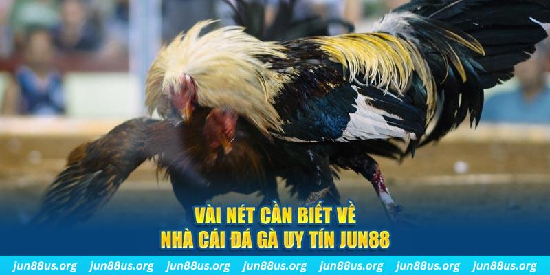 j88vip đăng nhập phỏm khuyến mãi