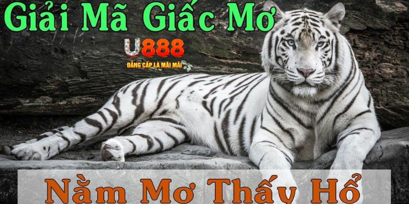 j88vip xổ số miền bắc xổ số miền bắc