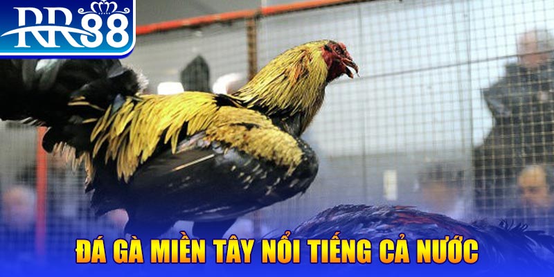 j88vip xổ số đại phát