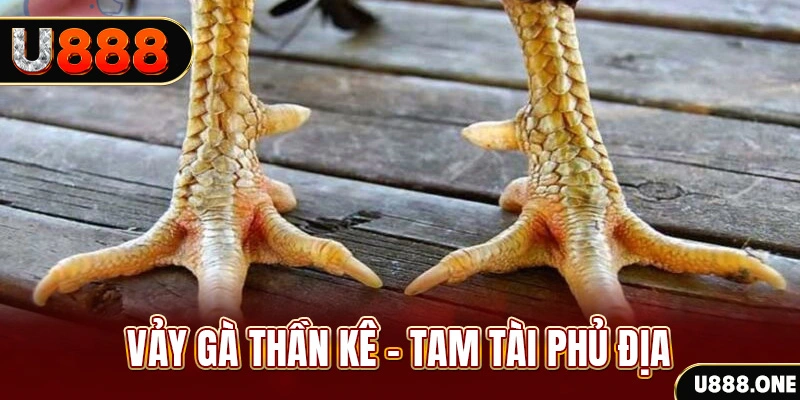 j88vip xổ số miền trung thứ hai hàng tuần