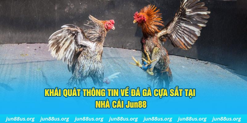 j88vip xổ số miền bắc thứ bảy hàng tuần