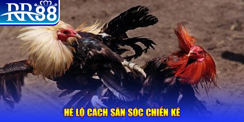 j88vip xổ số miền trung thứ tư