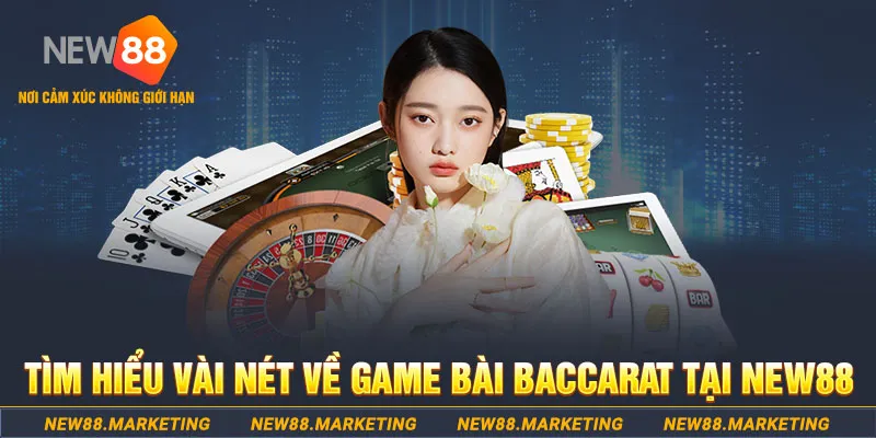 j88vip gà chọi c1 ô taxi