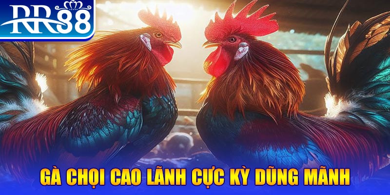 j88vip HB Điện Tử
