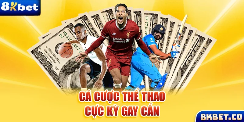 j88vip xem đá gà trực tiếp